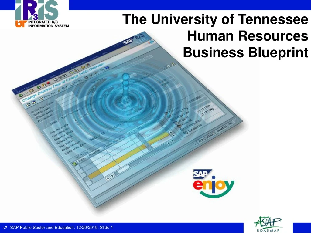 the university of tennessee human resources