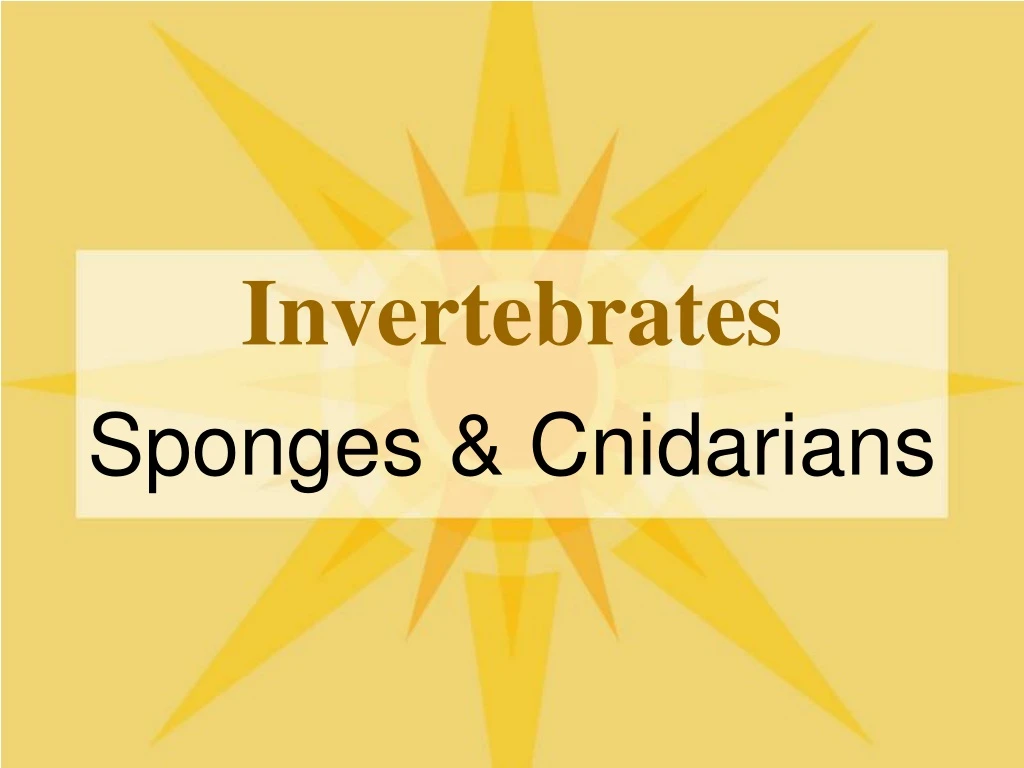 invertebrates