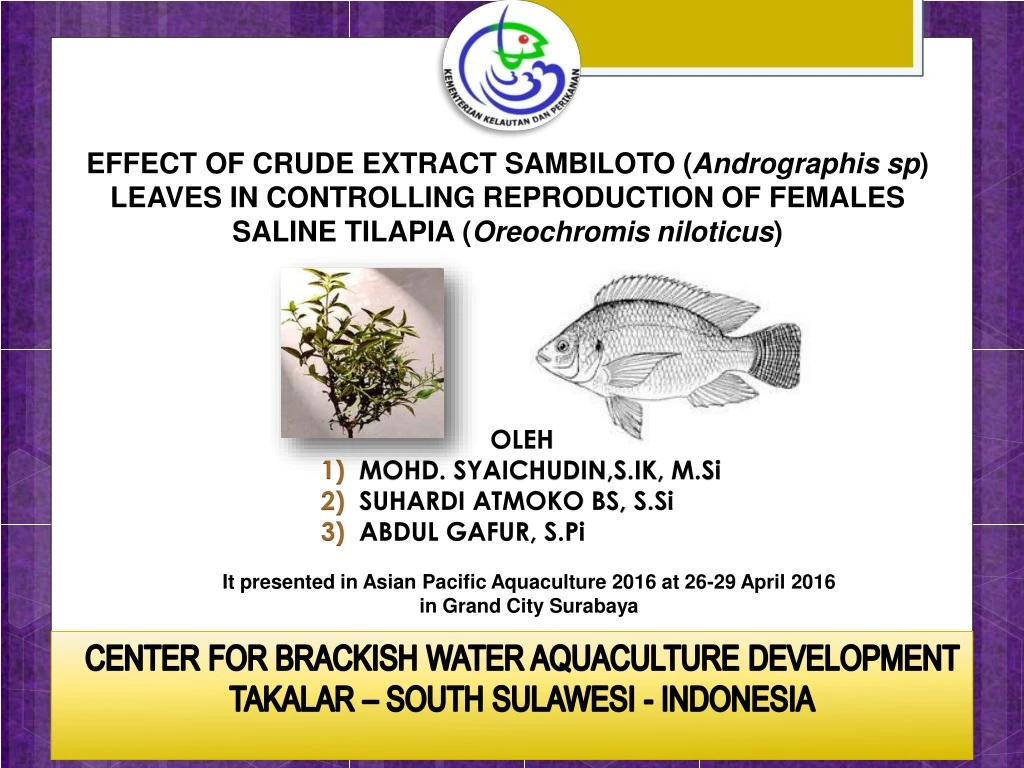 effect of crude extract sambiloto andrographis