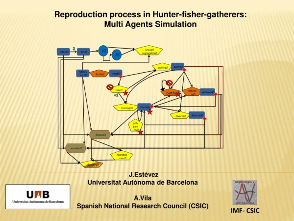 Reproduction process in Hunter-fisher-gatherers:  Multi Agents Simulation