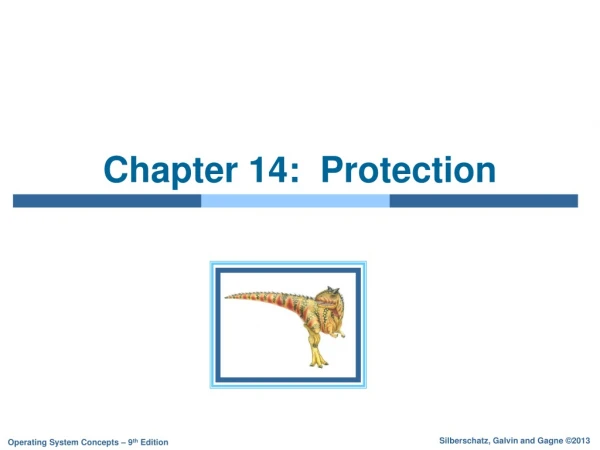 Chapter 14:  Protection