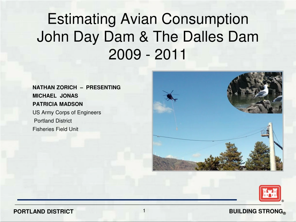 estimating avian consumption john day dam the dalles dam 2009 2011