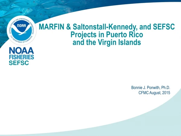 MARFIN &amp; Saltonstall-Kennedy, and SEFSC Projects in Puerto Rico  and the Virgin Islands