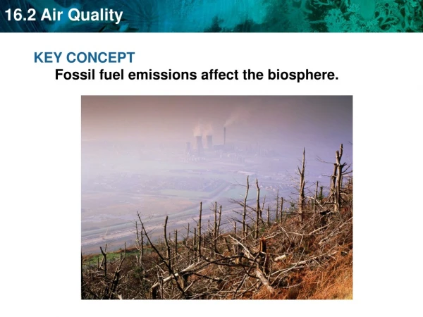 KEY CONCEPT  Fossil fuel emissions affect the biosphere.