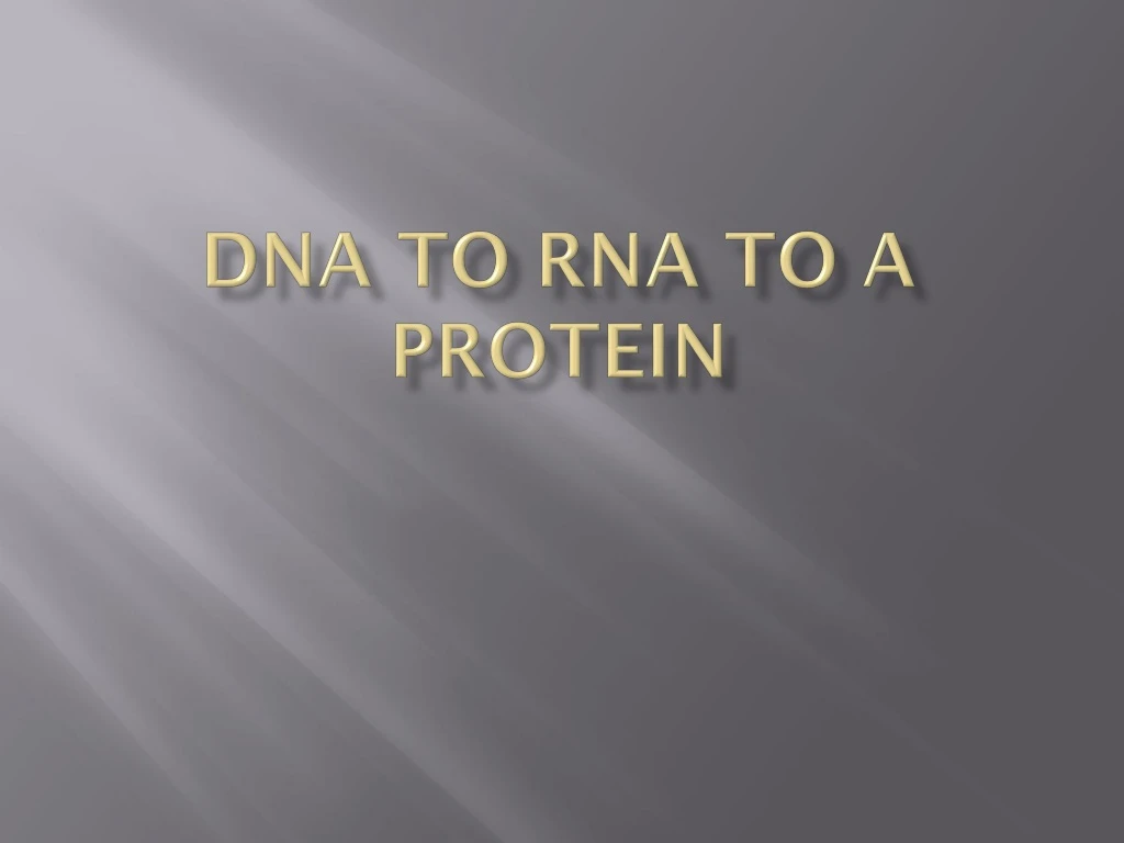 dna to rna to a protein