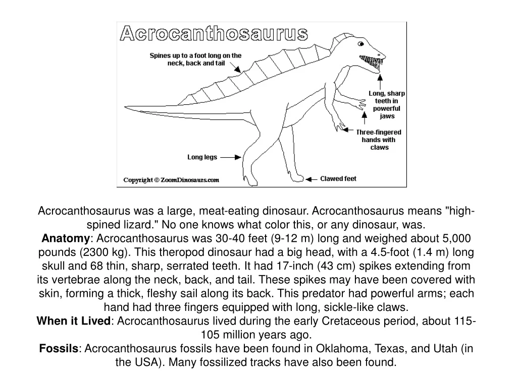 acrocanthosaurus was a large meat eating dinosaur