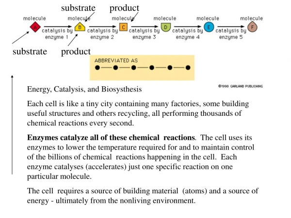 Energy, Catalysis, and Biosysthesis