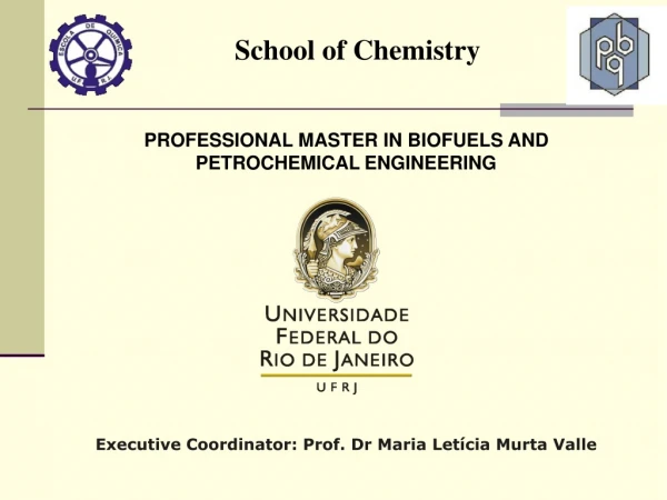 PROFESSIONAL MASTER IN BIOFUELS AND PETROCHEMICAL ENGINEERING