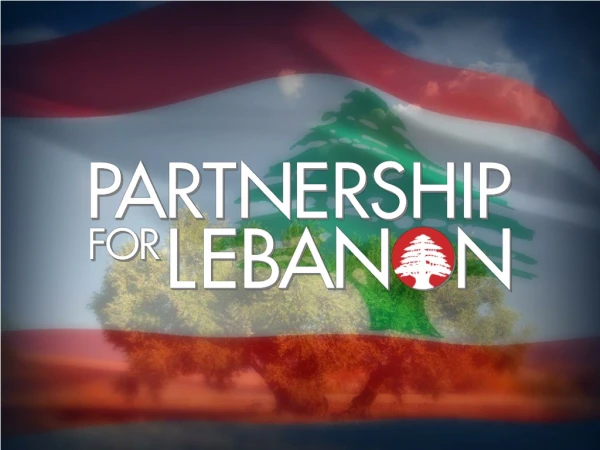 Introduction: The Partnership for Lebanon Broadband Strategy
