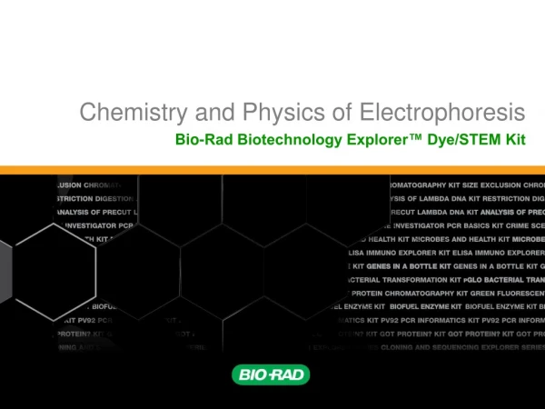 Chemistry and Physics of Electrophoresis