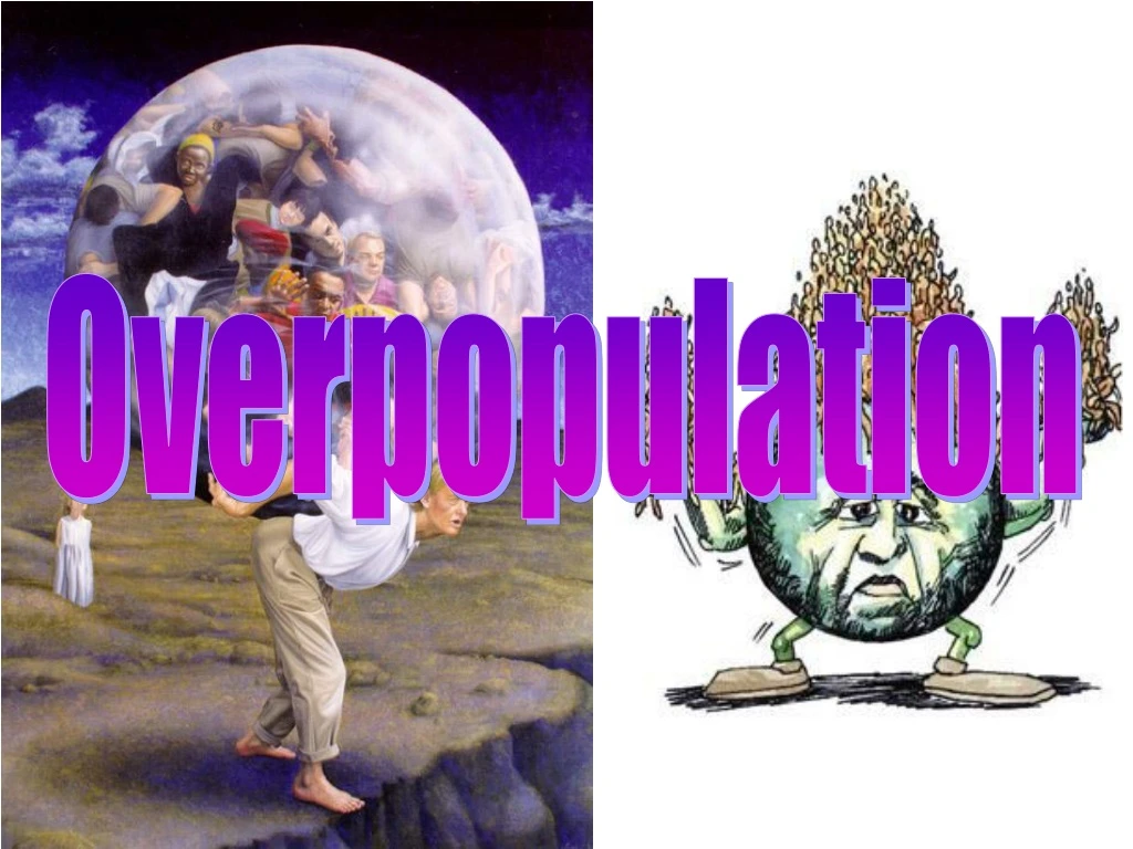 overpopulation