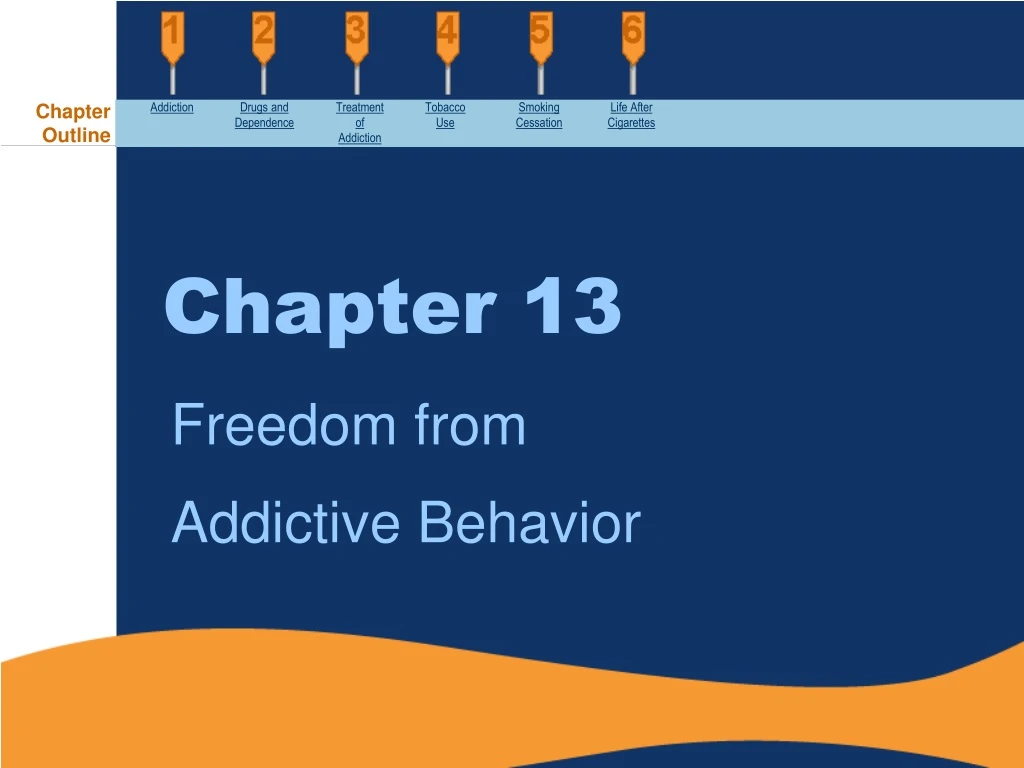chapter 13