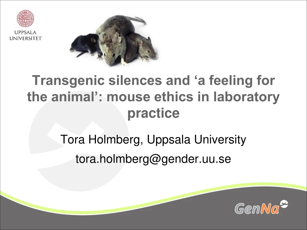 transgenic silences and a feeling for the animal mouse ethics in laboratory practice