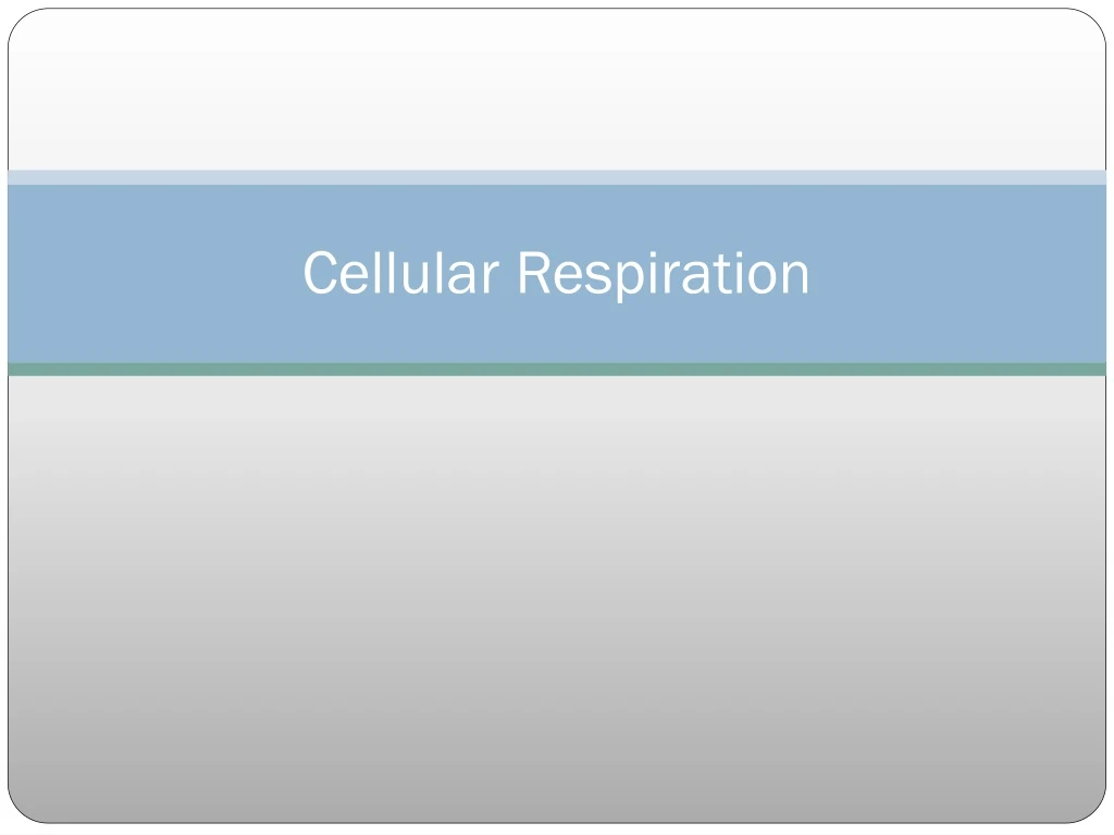 cellular respiration