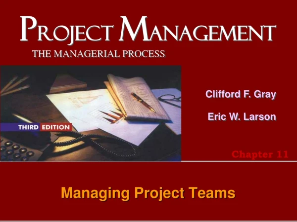 Managing Project Teams