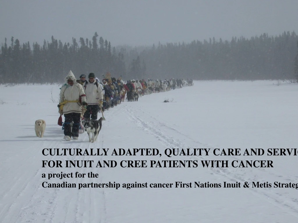 culturally adapted quality care and services