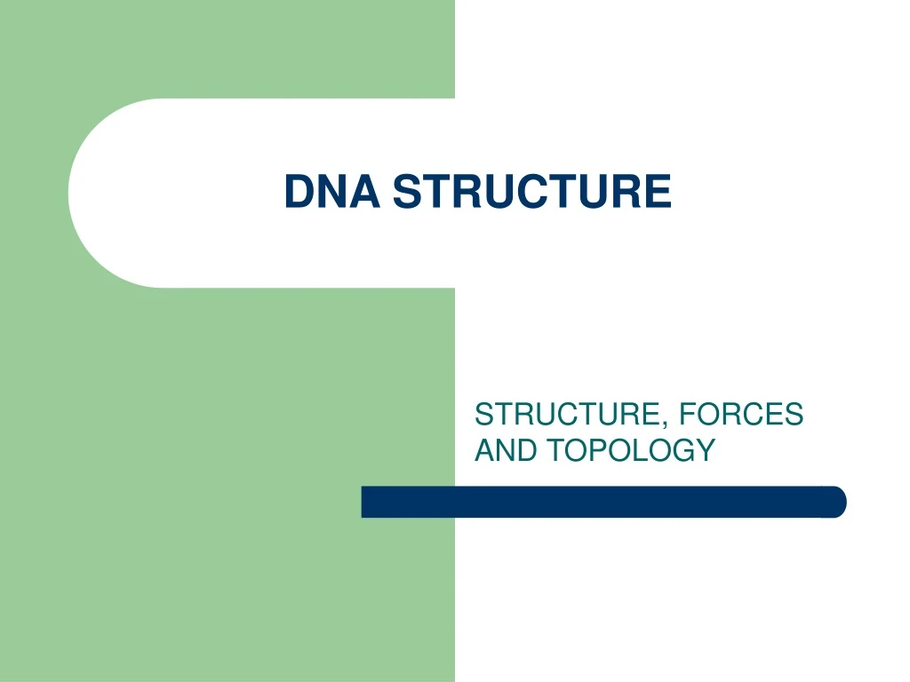 dna structure