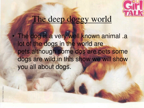 The deep doggy world