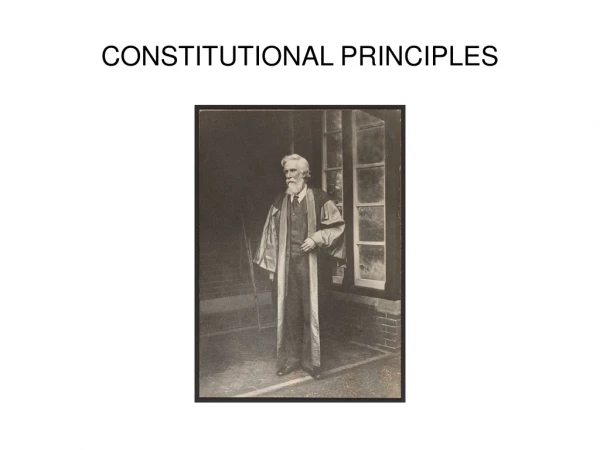 CONSTITUTIONAL PRINCIPLES
