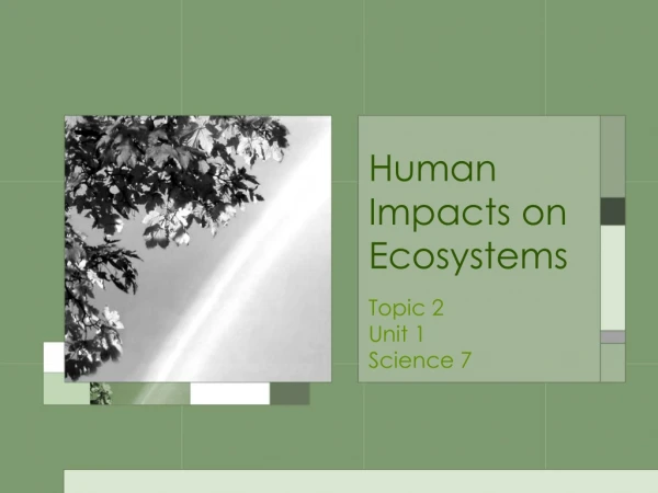 Human Impacts on Ecosystems