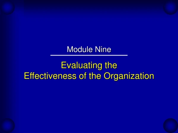 Evaluating the Effectiveness of the Organization