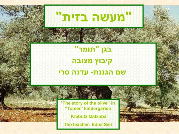 &quot;מעשה בזית&quot;