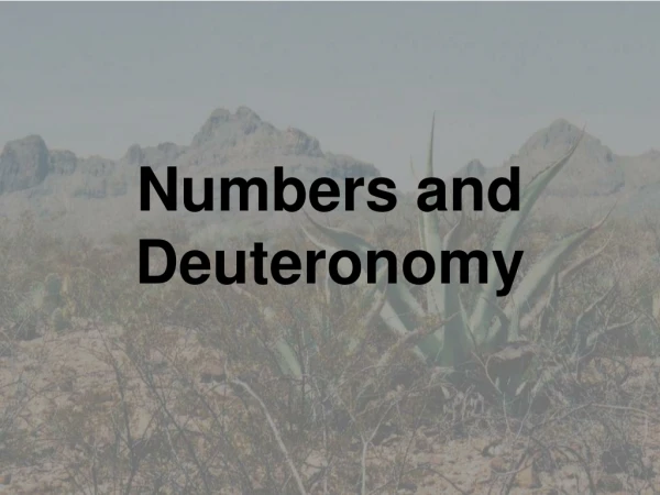 Numbers and Deuteronomy