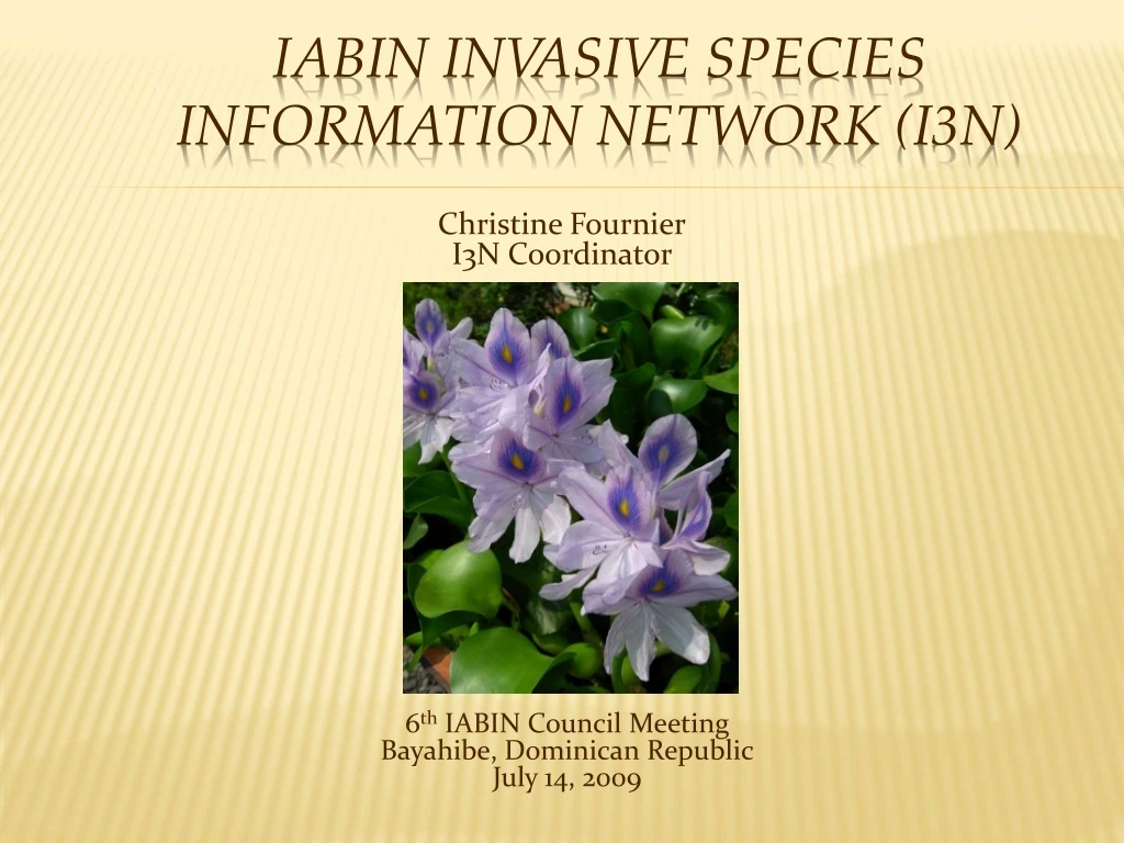 iabin invasive species information network i3n