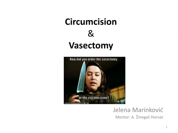 Circumcision &amp; Vasectomy