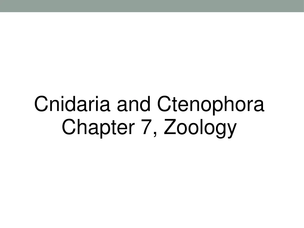 cnidaria and ctenophora chapter 7 zoology