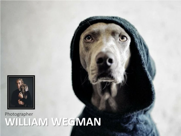 WILLIAM  WEGMAN