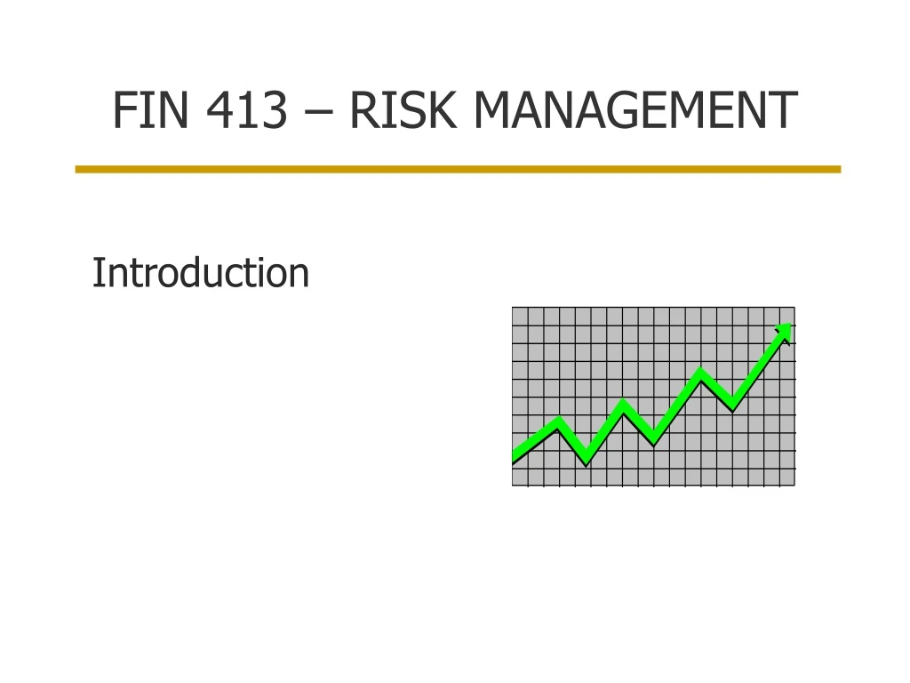 fin 413 risk management