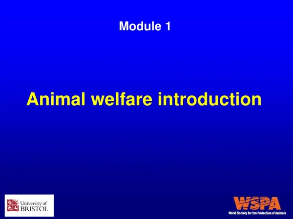 Animal welfare introduction