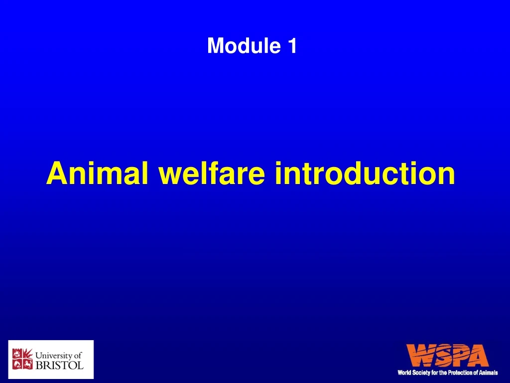 animal welfare introduction