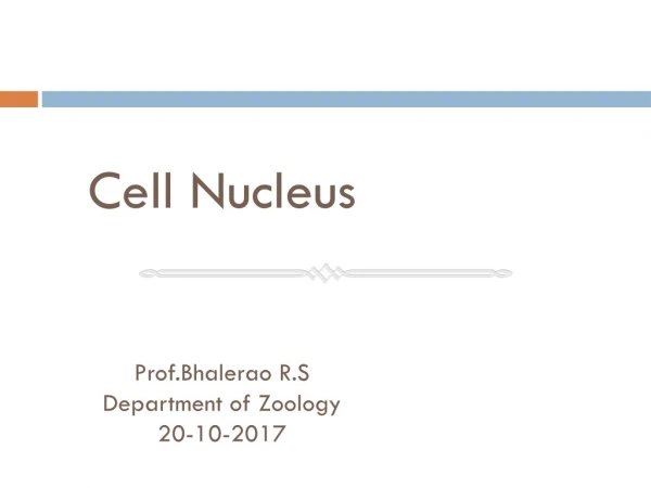 Cell Nucleus Prof.Bhalerao R.S Department of Zoology 20-10-2017