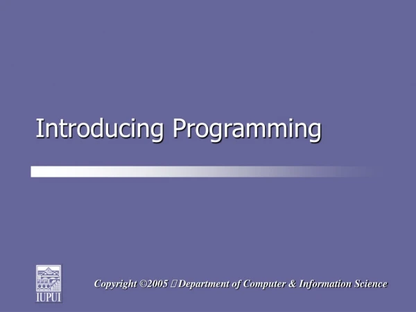 Introducing Programming