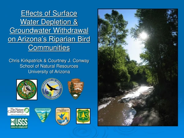 Effects of Surface Water Depletion &amp; Groundwater Withdrawal on Arizona’s Riparian Bird Communities