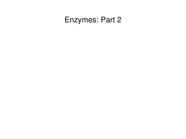 Enzymes: Part 2