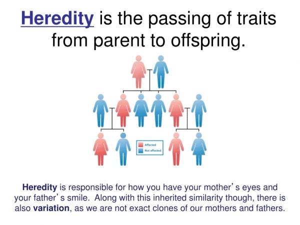 Heredity  is the passing of traits from parent to offspring.