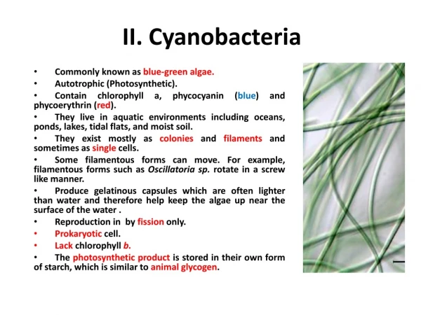 II. Cyanobacteria