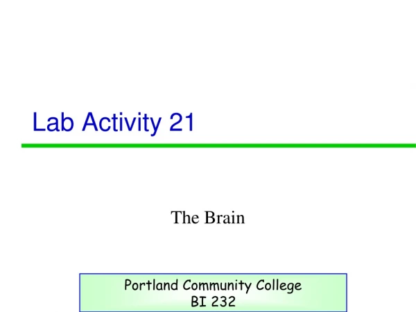 Lab Activity 21