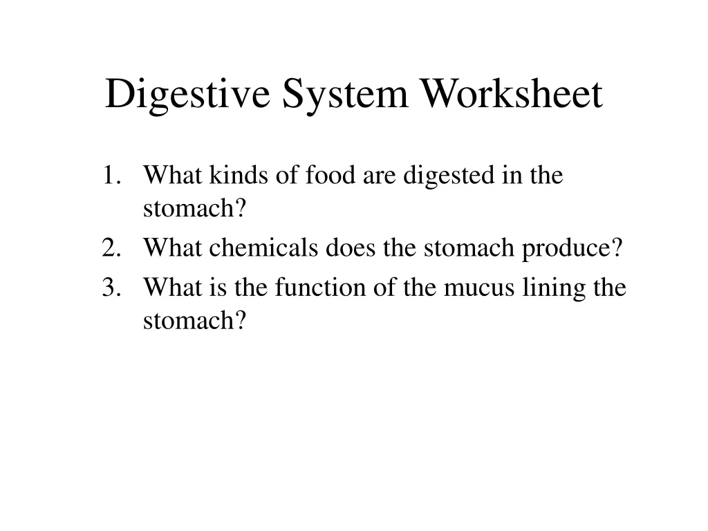 digestive system worksheet