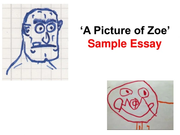 ‘A Picture of Zoe’  Sample Essay