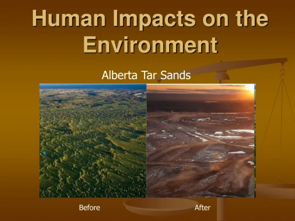 Human Impacts on the Environment