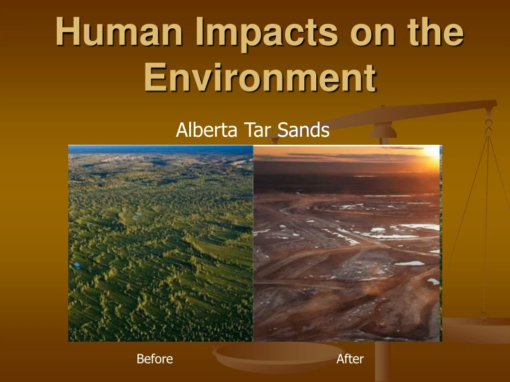 human impacts on the environment