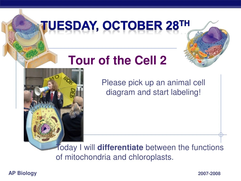 tour of the cell 2