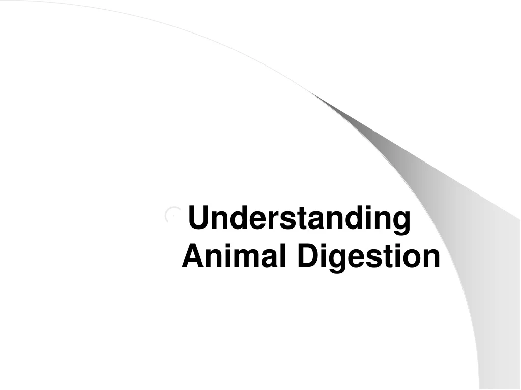 understanding animal digestion