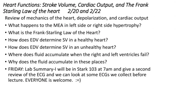 Review of mechanics of the heart, depolarization, and cardiac output