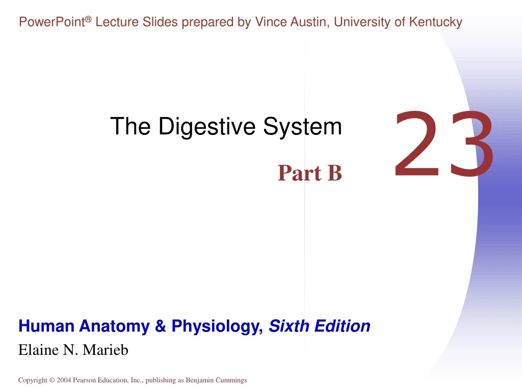 the digestive system part b