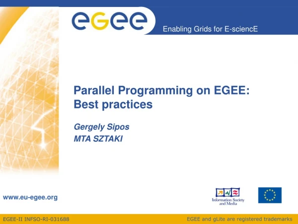 Parallel Programming on EGEE: Best practices